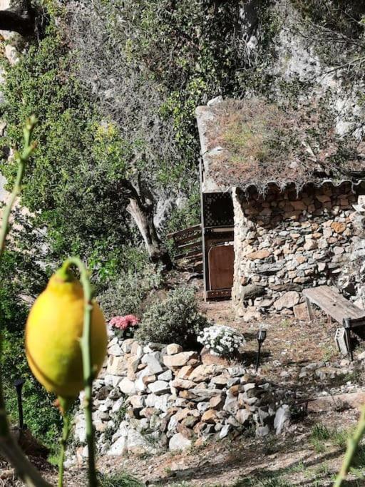 Chalet Zenitude Брейл-сюр-Роа Екстериор снимка